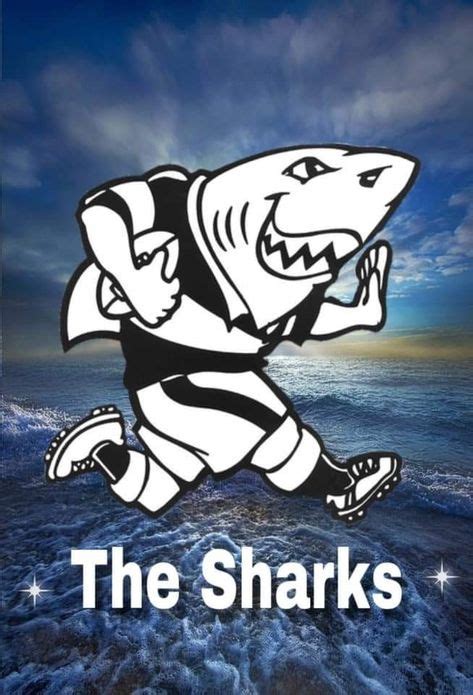 hollywood sharks rugby